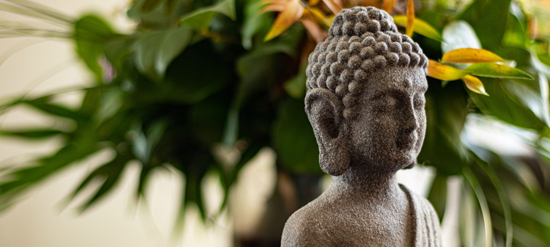 Meditazione e yoga Stabio e Mendrisio
